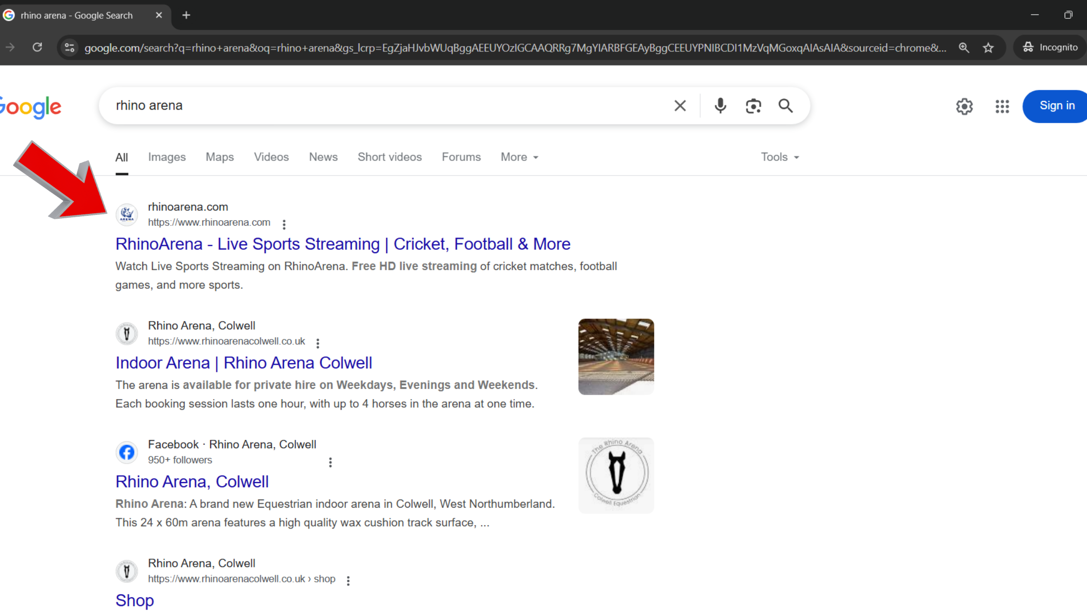 Rhino Arena on Desktop