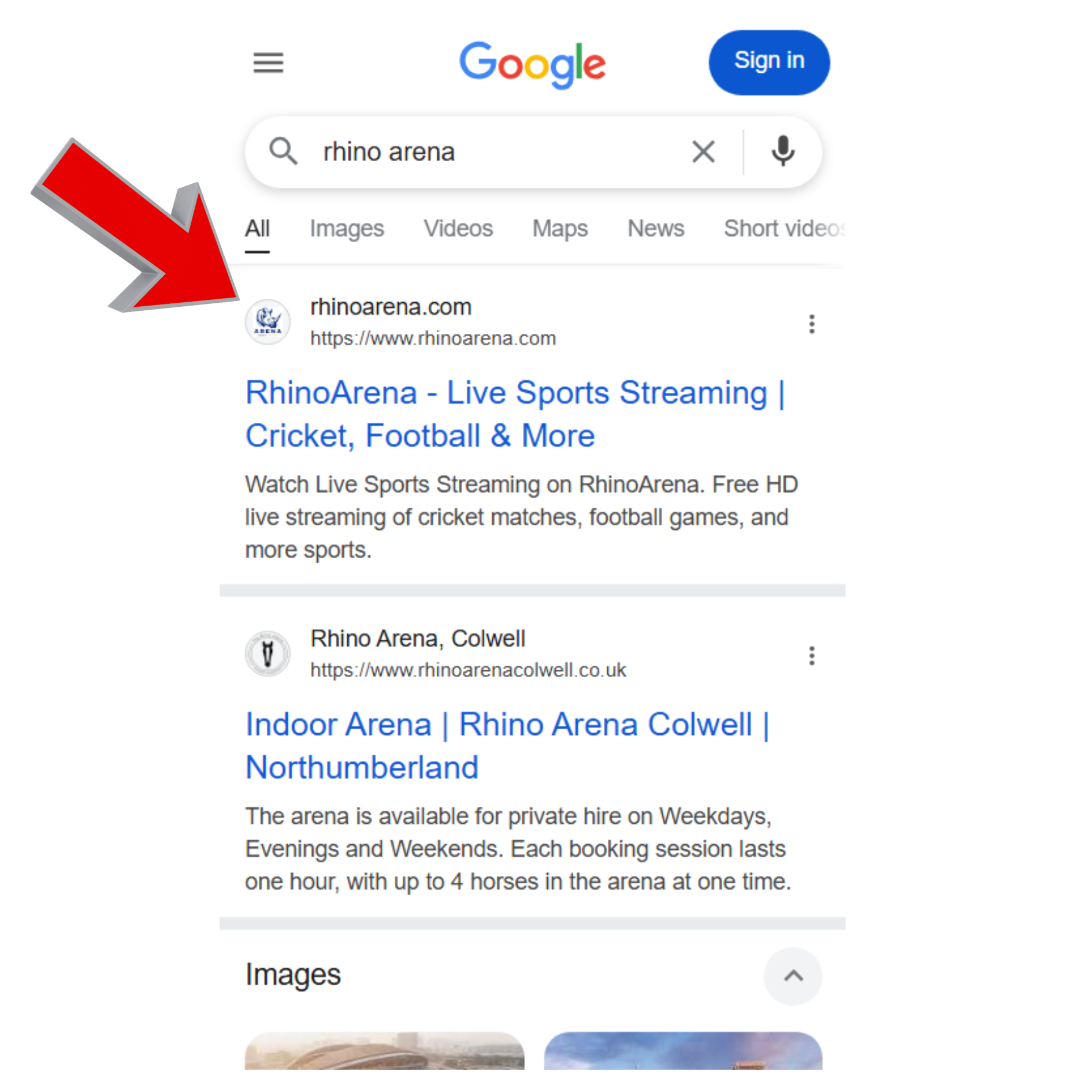Rhino Arena on Mobile